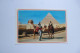 GIZA  -  Camel Driver  - Spninx    -  EGYPTE -  EGYPT - Gizeh