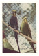 USSR 1963 MOSCOW ZOO BUDGIES BOGDANOVA #561 POSTAL STATIONERY IMPRINTED STAMP GANZSACHE - 1960-69