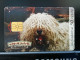 T-249 - HUNGARY, TELECARD, PHONECARD, DOG, CHIEN - Hongrie