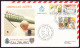 VATICAN ENVELOPPE COMMEMORATIVE 1988 10 PAULUS AUSTRIAM ITERUM VISIT - Covers & Documents