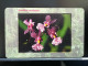 T-267- CZECH TELECARD, PHONECARD NTT, Flower, Fleur - Repubblica Ceca