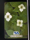 T-268 - BULGARIA TELECARD, PHONECARD, FLOWER, FLEUR,  - Bulgaria