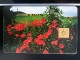 T-269- CZECH TELECARD, PHONECARD NTT, Flower, Fleur - Czech Republic