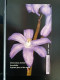 T-274 - CYPRUS TELECARD, PHONECARD, FLOWER, FLEUR - Cyprus