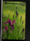 T-279 - KOREA, TELECARD, PHONECARD, FLOWER, FLEUR, - Corée Du Sud