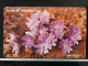 T-279 - KOREA, TELECARD, PHONECARD, FLOWER, FLEUR, - Korea (Zuid)