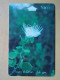 T-281 - OMAN TELECARD, PHONECARD, FLOWER, FLEUR,  - Oman