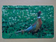 T-284 - KOREA, TELECARD, PHONECARD, BIRD, OISEAU, FAISAN, PHEASANT - Corea Del Sud