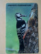 T-284 - KOREA, TELECARD, PHONECARD, BIRD, OISEAU, PIVERT, WOODPECKER - Korea, South