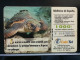 T-298 - SPAIN, ESPANA, TELECARD, PHONECARD, TURTLES, TORTUES - Other & Unclassified