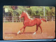 T-305 - OMAN TELECARD, PHONECARD, HORSE, CHEVAL - Oman