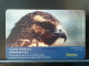 T-312 - PERU TELECARD, PHONECARD, ANIMAL, BIRD, OISEAU, Apurimac - Adler - Eagle - Peru