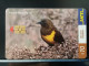 T-316 - URUGUAY TELECARD, PHONECARD, BIRD, OISEAU - Uruguay