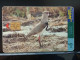 T-316 - URUGUAY TELECARD, PHONECARD, BIRD, OISEAU,  - Uruguay