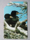 T-327 - POLAND, POLSKA, TELECARD, PHONECARD, BIRD, OISEAU - Polen