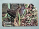 T-327 - POLAND, POLSKA, TELECARD, PHONECARD, BIRD, OISEAU - Polen