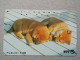 T-328 - JAPAN, TELECARD, PHONECARD, Dog, Chien, NTT 111-056 - Honden