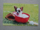 T-328 - JAPAN, TELECARD, PHONECARD, Dog, Chien, NTT 231-200 - Hunde