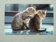 T-331 - JAPAN, TELECARD, PHONECARD, CAT, CHAT, NTT 111-012 - Katzen