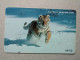 T-331 - KOREA, TELECARD, PHONECARD, TIGER, TIGRE - Corée Du Sud