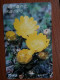 T-358 - JAPAN, Japon, Nipon, TELECARD, PHONECARD,  FLOWER, FLEUR, NTT 331-472 - Bloemen