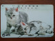 T-361 - JAPAN, Japon, Nipon, TELECARD, PHONECARD, NTT 111-078, Cat, Chat - Cats