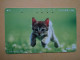 T-361 - JAPAN, Japon, Nipon, TELECARD, PHONECARD, Cat, Chat, NTT 111-021 - Chats