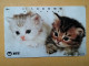 T-361 - JAPAN, Japon, Nipon, TELECARD, PHONECARD, Cat, Chat, NTT 111-083 - Katzen