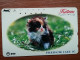 T-361 - JAPAN, Japon, Nipon, TELECARD, PHONECARD, Cat, Chat, NTT 250-357 - Katzen