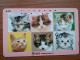 T-361 - JAPAN, Japon, Nipon, TELECARD, PHONECARD, Cat, Chat, NTT 331-089 - Gatos