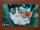 T-370 - JAPAN, Japon, Nipon, TELECARD, PHONECARD, Cat, Chat, NTT 111-070 - Katzen