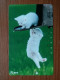 T-370 - JAPAN, Japon, Nipon, TELECARD, PHONECARD, Cat, Chat, NTT 231-243 - Katzen