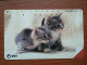 T-371 - JAPAN, Japon, Nipon, TELECARD, PHONECARD, Cat, Chat, NTT 231-223 - Gatos