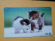 T-371 - JAPAN, Japon, Nipon, TELECARD, PHONECARD, Cat, Chat, NTT 231-322 - Gatti