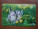 T-371 - JAPAN, Japon, Nipon, TELECARD, PHONECARD, Cat, Chat, NTT 231-393 - Cats