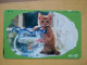 T-371 - JAPAN, Japon, Nipon, TELECARD, PHONECARD, Cat, Chat, NTT 331-196 - Katzen