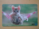 T-371 - JAPAN, Japon, Nipon, TELECARD, PHONECARD, Cat, Chat, NTT 331-227 - Katten