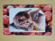 T-371 - JAPAN, Japon, Nipon, TELECARD, PHONECARD, Cat, Chat, NTT 331-494 - Katten