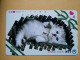 T-372 - JAPAN, Japon, Nipon, TELECARD, PHONECARD, Cat, Chat, NTT 291-139 - Gatti