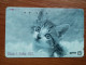 T-372 - JAPAN, Japon, Nipon, TELECARD, PHONECARD, Cat, Chat, NTT 291-214 - Cats