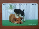 T-373 - JAPAN, Japon, Nipon, TELECARD, PHONECARD, Dog, Chien, NTT 111-041 - Honden