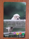 T-373 - JAPAN, Japon, Nipon, TELECARD, PHONECARD, Dog, Chien, NTT 271-140 - Hunde