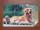 T-374 - JAPAN, Japon, Nipon, TELECARD, PHONECARD, Dog, Chien, NTT 231-232 - Hunde