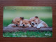 T-374 - JAPAN, Japon, Nipon, TELECARD, PHONECARD, Dog, Chien, NTT 231-349 - Chiens