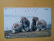 T-374 - JAPAN, Japon, Nipon, TELECARD, PHONECARD, Dog, Chien, NTT 411-259 - Dogs