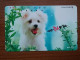 T-375 - JAPAN, Japon, Nipon, TELECARD, PHONECARD, Dog, Chien, NTT 290-586 - Perros