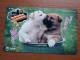 T-375 - JAPAN, Japon, Nipon, TELECARD, PHONECARD, Dog, Chien, NTT 331-493 - Chiens