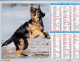 Saône-et-Loire Almanach Du Facteur 2022 - Photographies En Couleurs De Chiens Bergers Australiens Berger Allemand - Neuf - Grand Format : 2001-...