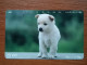 T-376 - JAPAN, Japon, Nipon, TELECARD, PHONECARD, Dog, Chien, NTT 111-024 - Honden