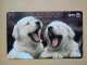 T-376 - JAPAN, Japon, Nipon, TELECARD, PHONECARD, Dog, Chien, NTT 111-073 - Dogs